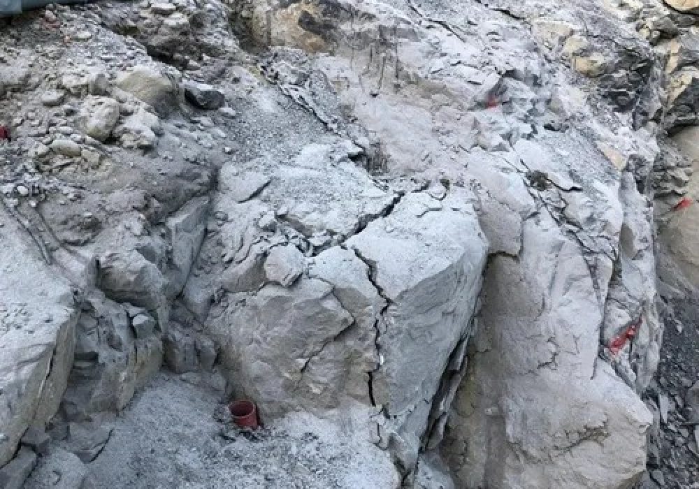 WhatsApp Image 2024-09-24 at 2.23.46 PM